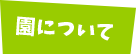 園について